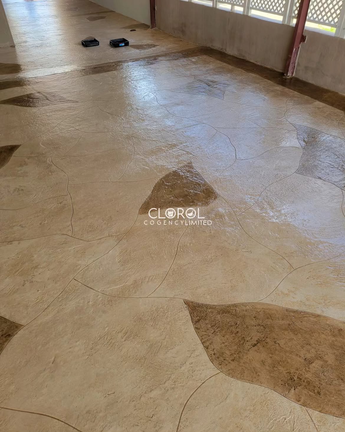 Polished Concrete Overlay